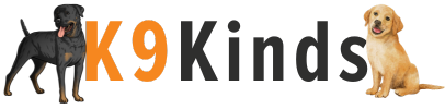 K9Kinds-logo2 (406 × 100 px)